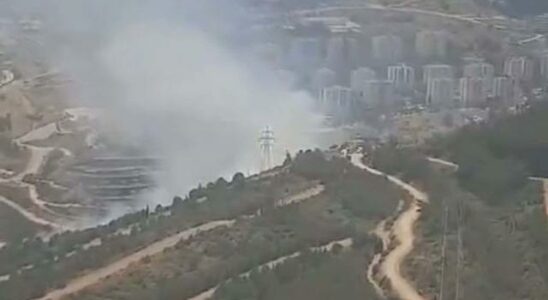 Breaking news Forest fire in Izmir A large number