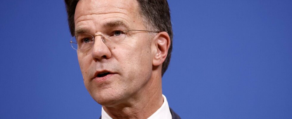Dutch Prime Minister Mark Rutte appointed to head the Alliance