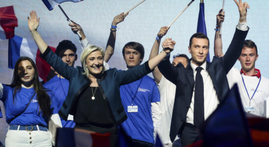 European elections anti macronism main fuel of the National Rally