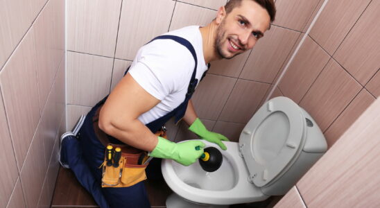 Everyone experiences clogged toilets at least once in their life