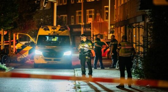 Experts recommend TBS with compulsory treatment for Utrechter who stabbed