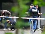 Gunmen attack wedding party in France News in brief