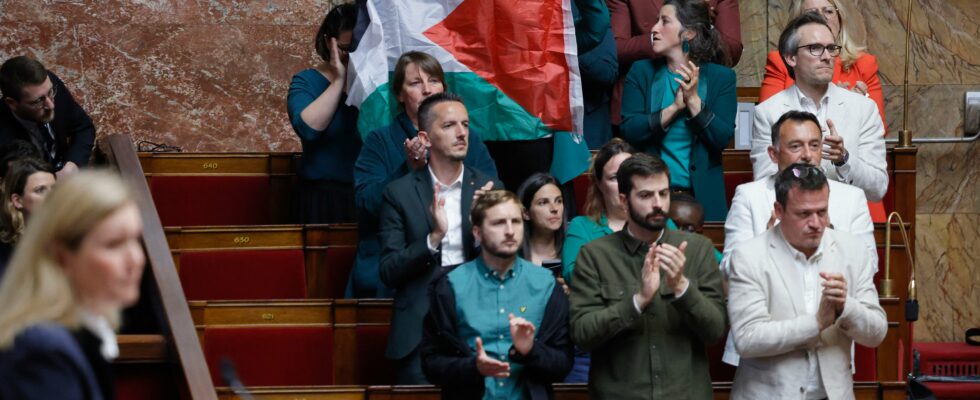 Hamas LFI MP Rachel Keke brandishes a Palestinian flag in