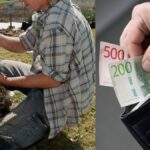 Here you can earn thousands clearing weeds