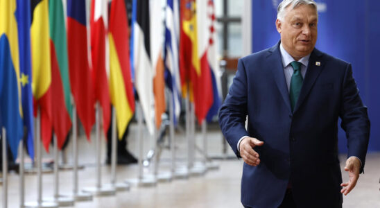 Hungary takes the rotating presidency of the EU amid disputes