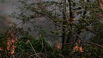 In the Brazilian Pantanal wetland huge fires News in