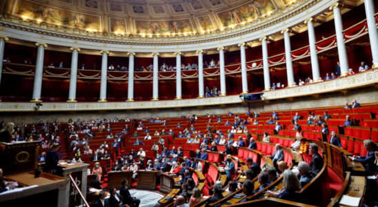 Legislative elections in France Trumpification of the debate