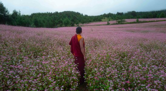 Macron king of Bhutan This sensational film that questions us