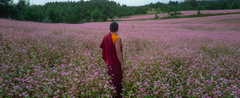 Macron king of Bhutan This sensational film that questions us