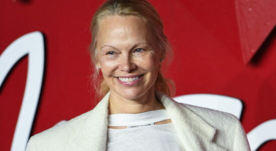 Pamela Anderson films herself without makeup and without filter at