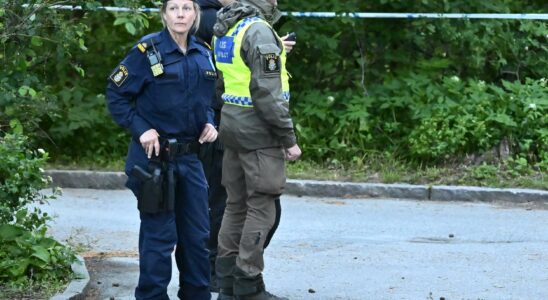 Police fired warning shots big effort in Stockholm