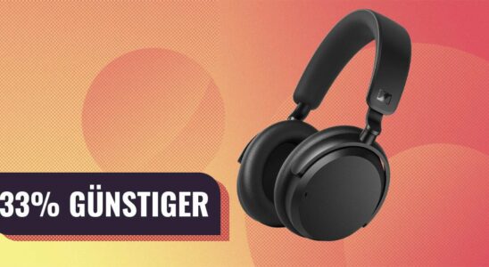 Real professional sound for very little money These Sennheiser headphones