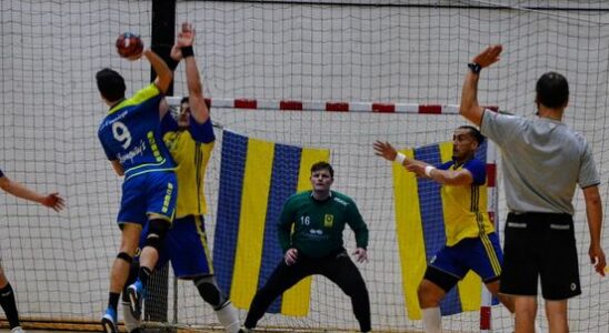 Sports Short Belgian goalkeeper for handball Houten De Groot to
