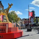 Subsidy stop threatens for Dutch Film Festival We are stunned