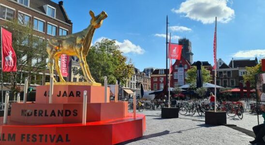 Subsidy stop threatens for Dutch Film Festival We are stunned