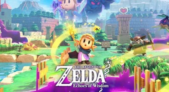 The Legend of Zelda Echoes of Wisdom Zelda and Link