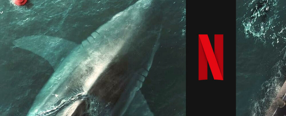 The last 25 minutes are crazy Stephen King celebrates Netflix