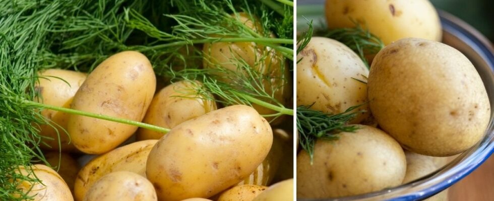 This is how you cook your new potatoes to perfection