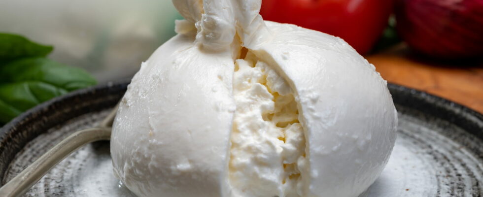 This little detail allows you to recognize the best burrata