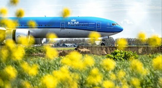 Utrecht will still give nitrogen space to Schiphol