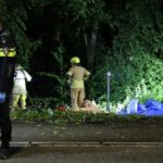 Victims of the fatal accident in Amsterdamsestraatweg may have been