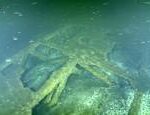 Video from the depths of the Gulf of Finland the