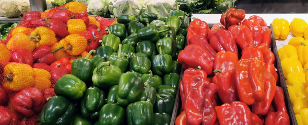 Yellow red or green which pepper to choose One of