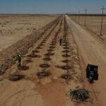 desertification aggravates the phenomenon of sandstorms