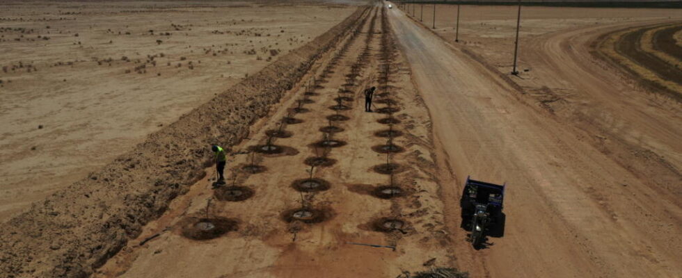 desertification aggravates the phenomenon of sandstorms
