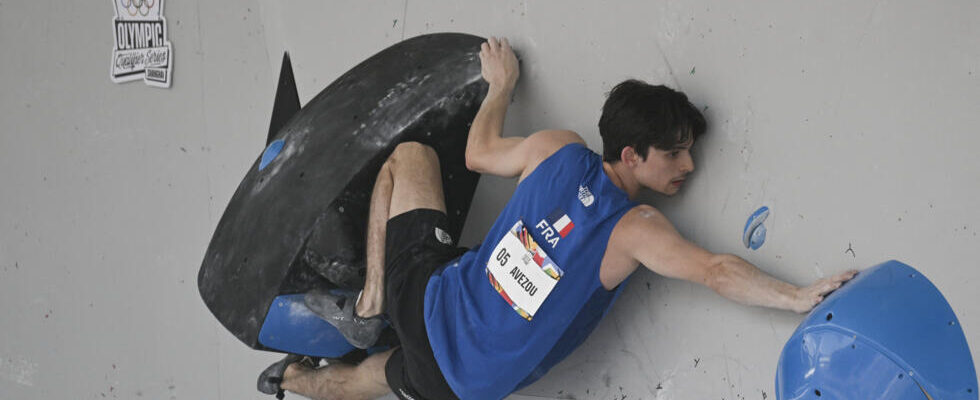 five French climbers validate their places for the Paris Olympics