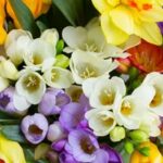 Antitrust opens investigation against Interflora for unfair practice on floral