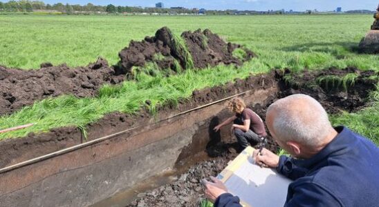 Archaeologists find Roman canal in Leidsche Rijn I went crazy