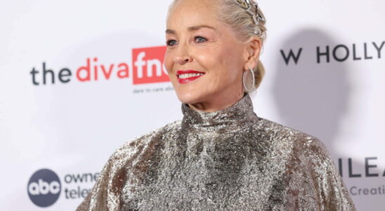 At 66 Sharon Stone has found the perfect makeup to