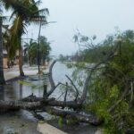 At least ten dead in Hurricane Beryl