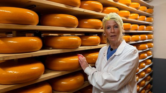 Forget Gouda and Alkmaar the cheese story begins in Woerden