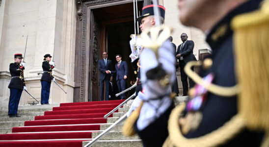 French diplomats to guide foreign leaders