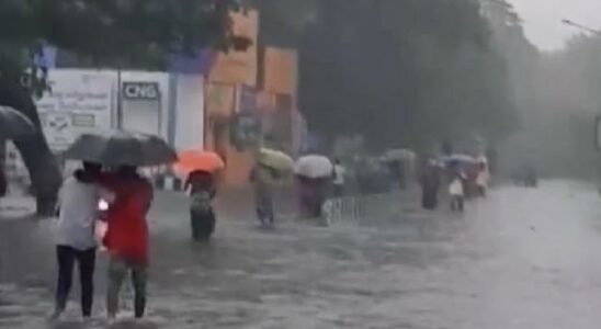 Heavy rains claim 56 lives