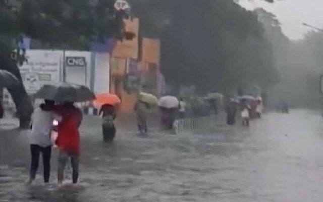 Heavy rains claim 56 lives