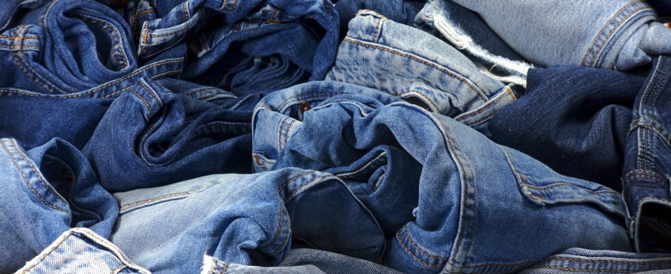 Indigo Blue Jeans Could Be Disappearing Scientists Have an Alternative