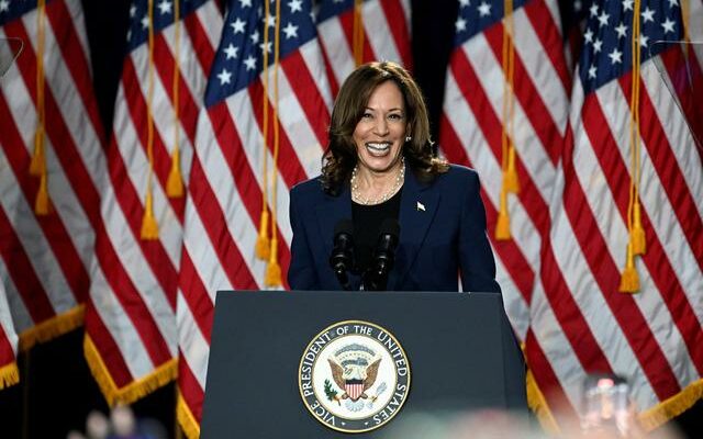 Kamala Harris Promises Red Flag Law at First Election Rally