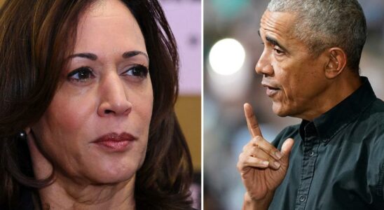 Kamala Harris roadblock Obamas silence