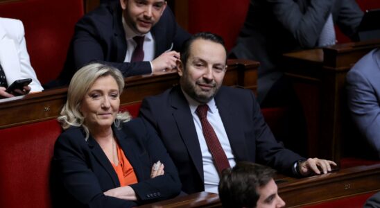 Le Pen Chenu Bompard Faure… These deputies elected in the