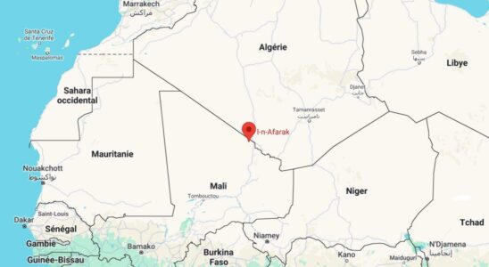 Malian army arrives in Inafarak near the Algerian border