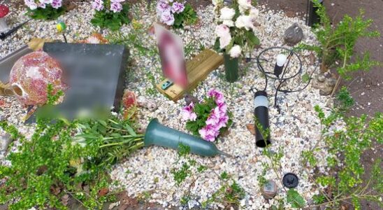 Man 21 arrested for vandalizing graves at cemetery in Overvecht