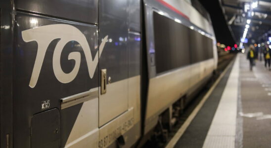 Massive attack paralyzes several TGV lines and stations in Paris