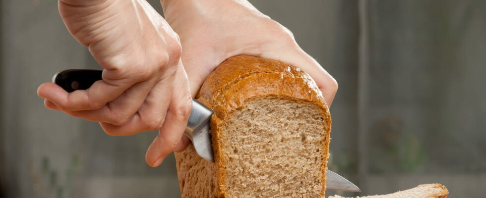 Natural anti inflammatory here is the best bread to control your