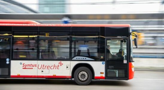 No buses in parts of Utrecht province due to computer