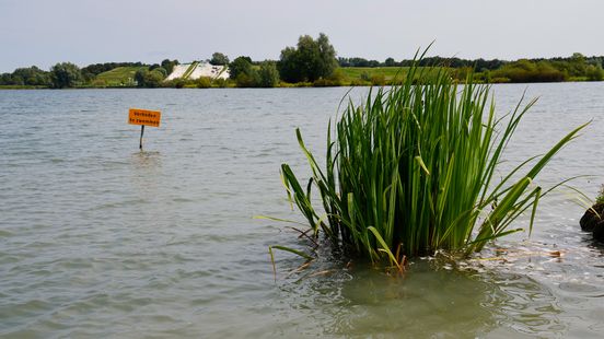 No swimmers in Nedereindse Plas some prohibition signs have disappeared