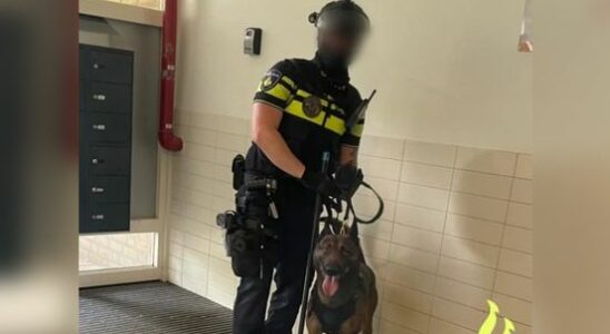 Police dog Sem called in to help after being threatened