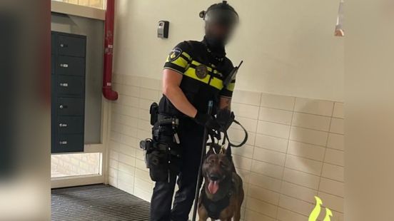 Police dog Sem called in to help after being threatened